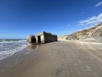 IMG_2727.jpeg