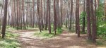 20250526_172824.jpg