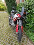 IMG_20250602_095300.jpg