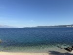 IMG_8192.jpeg