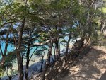 IMG_8208.jpeg