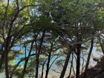 IMG_8244.jpeg