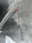 IMG_9240.jpeg