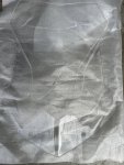 IMG_9238.jpeg