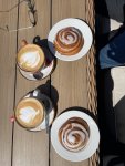 IMG_6992.jpeg