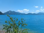 IMG_20250619_132803.jpg