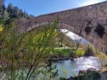IMG_20250411_175519_HDR~2.jpg