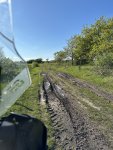IMG_8667.jpeg