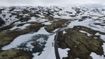 dji_fly_20250619_121604_129_1750328195089_photo.jpeg