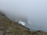 IMG_1138.jpeg