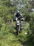 IMG_7994.jpeg