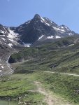 IMG_2433.jpeg