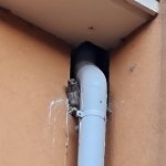 signal-2025-06-30-22-19-57-291.jpg