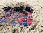 IMG_7666.jpeg