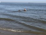 IMG_7621.jpeg