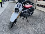 IMG_3472.jpeg