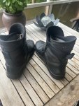 IMG_1146.jpeg