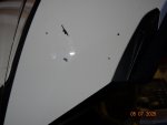 DSC01261.JPG