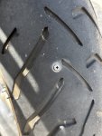 IMG_7756.jpeg