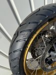 IMG_1520.jpeg