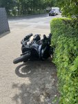 IMG_2791.jpeg