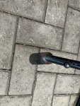 IMG_3124.jpeg