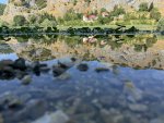 IMG_1693.jpeg