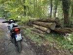 IMG_8694.jpeg