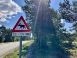 IMG_9608.jpeg