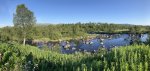 IMG_9968.jpeg