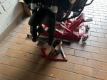 IMG_2973.jpeg