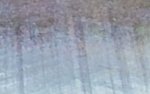 Screenshot_20250801_130501_Gallery.jpg