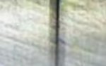 Screenshot_20250801_130835_Gallery.jpg