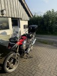 IMG_3545.jpeg
