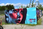 DSC_0226.JPG