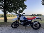 IMG_3941.jpeg