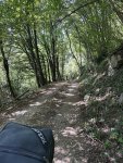 IMG_8189.jpeg