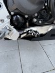 IMG_7590.jpeg
