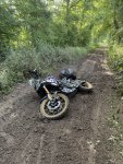IMG_7565.jpeg