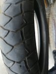 IMG_20250725_114852.jpg