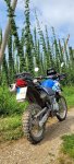 20250817_112106.jpg
