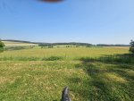 20250813_120659.jpg