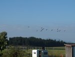 DSCF4153.JPG