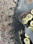 IMG_3739_small.png