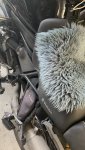 IMG_6697.jpeg