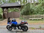 IMG_4088.jpeg