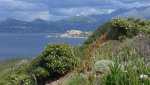 P1000158.jpg