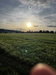 IMG_8822.jpeg