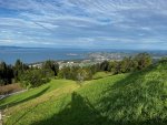 IMG_8823.jpeg