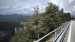 IMG_20250905_114324.jpg